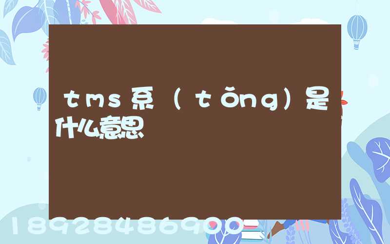 tms系統(tǒng)是什么意思
