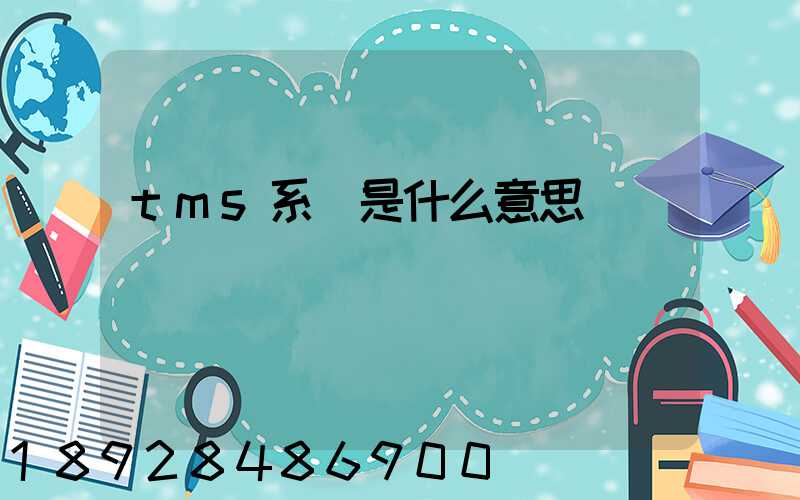 tms系統是什么意思