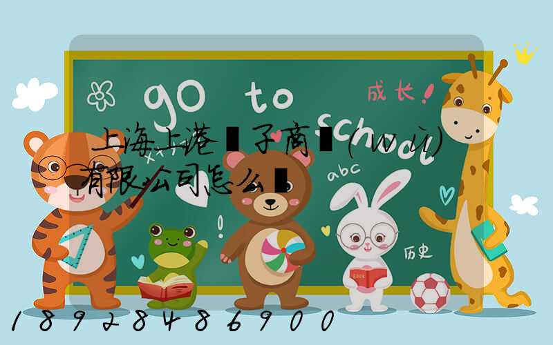 上海上港電子商務(wù)有限公司怎么樣