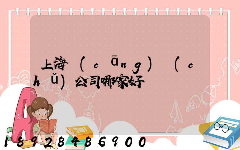 上海倉(cāng)儲(chǔ)公司哪家好