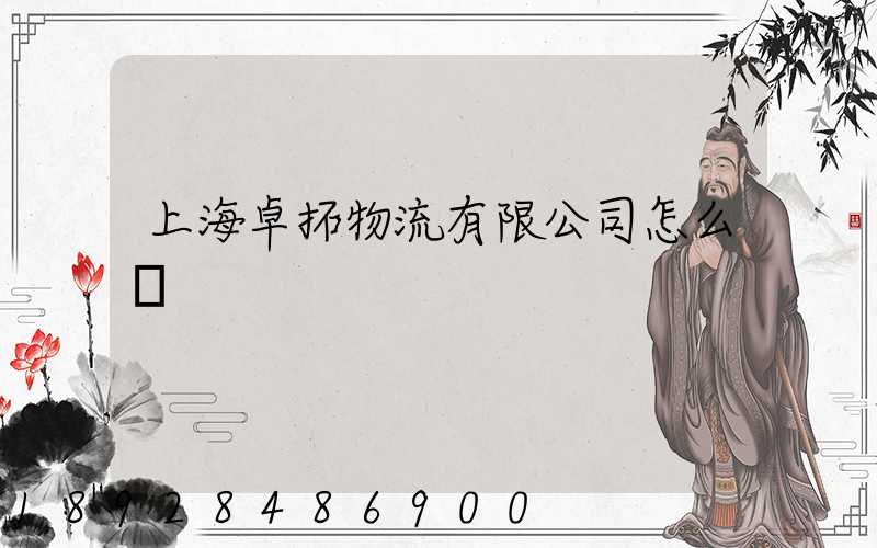 上海卓拓物流有限公司怎么樣