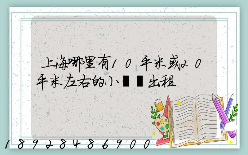 上海哪里有10平米或20平米左右的小倉庫出租