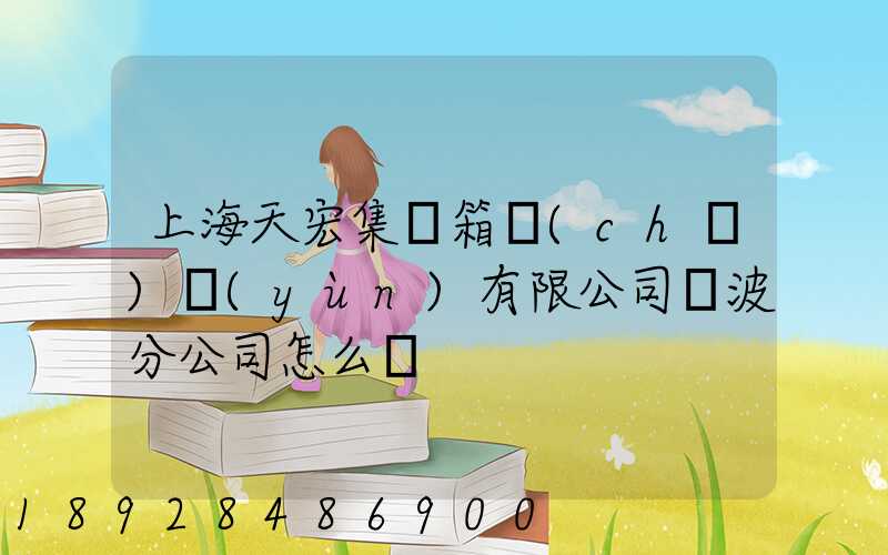 上海天宏集裝箱儲(chǔ)運(yùn)有限公司寧波分公司怎么樣