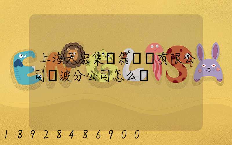 上海天宏集裝箱儲運有限公司寧波分公司怎么樣