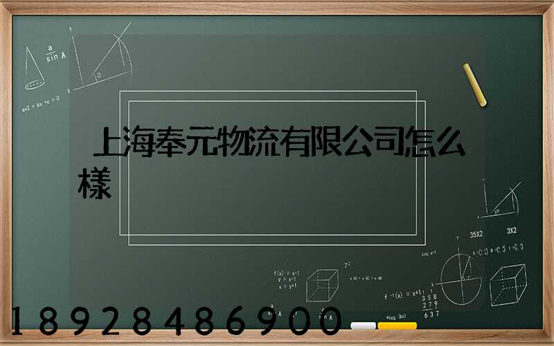 上海奉元物流有限公司怎么樣