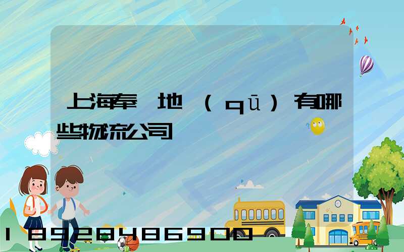 上海奉賢地區(qū)有哪些物流公司