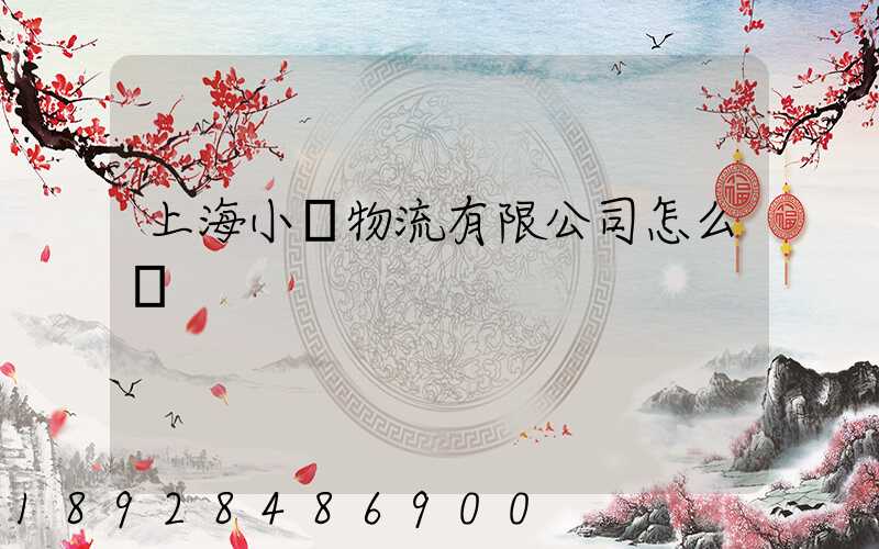 上海小榮物流有限公司怎么樣