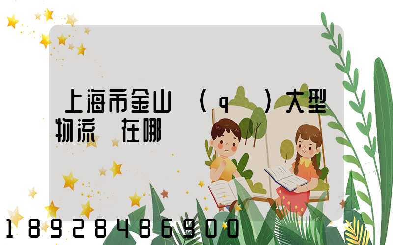 上海市金山區(qū)大型物流園在哪