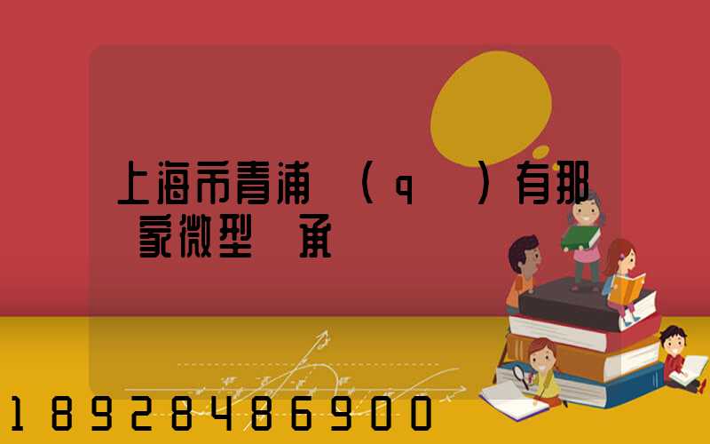 上海市青浦區(qū)有那幾家微型軸承廠