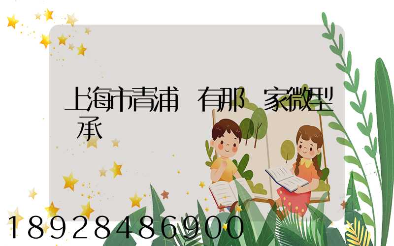 上海市青浦區有那幾家微型軸承廠