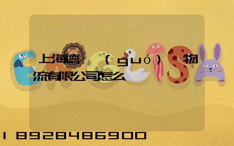 上海德崢國(guó)際物流有限公司怎么樣