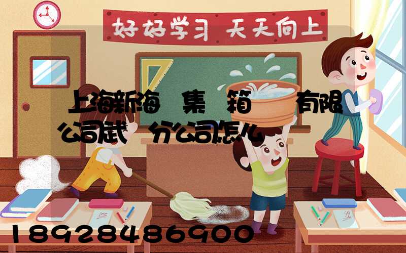 上海新海豐集裝箱運輸有限公司武漢分公司怎么樣