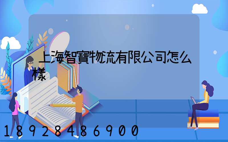 上海智寶物流有限公司怎么樣