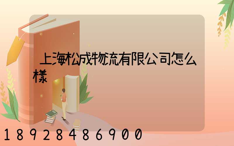 上海松成物流有限公司怎么樣