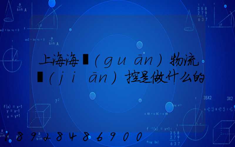 上海海關(guān)物流監(jiān)控是做什么的