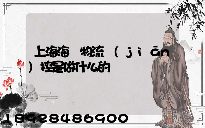 上海海關物流監(jiān)控是做什么的