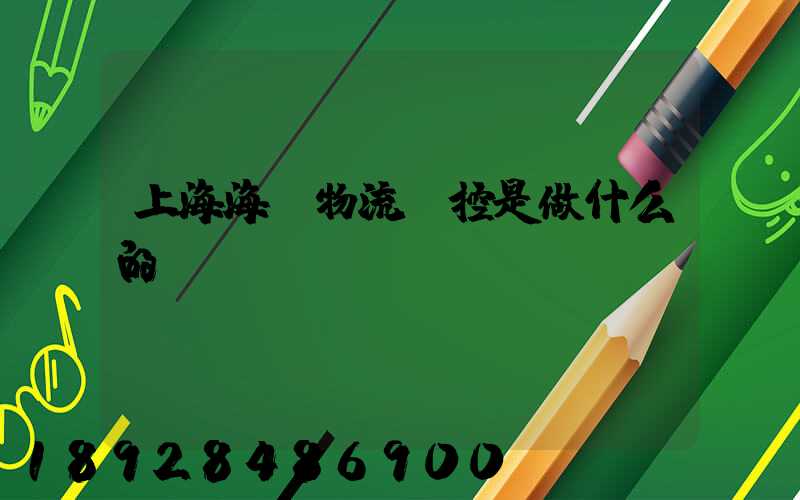 上海海關物流監控是做什么的