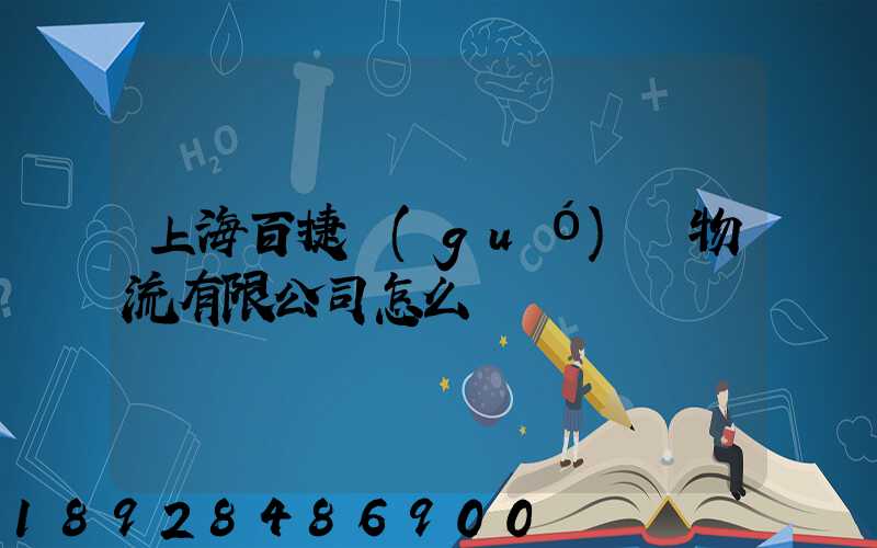 上海百捷國(guó)際物流有限公司怎么樣