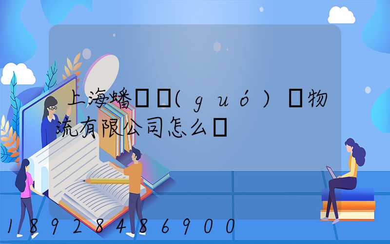 上海蟠龍國(guó)際物流有限公司怎么樣