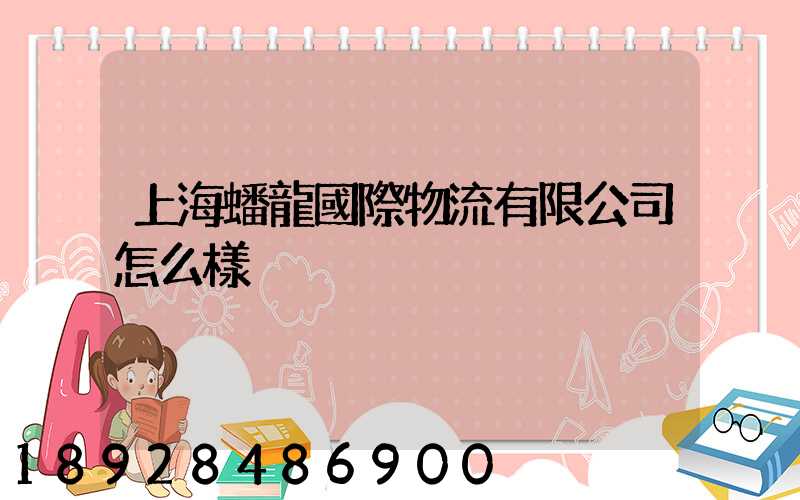 上海蟠龍國際物流有限公司怎么樣