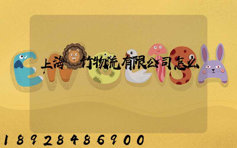 上海雙竹物流有限公司怎么樣