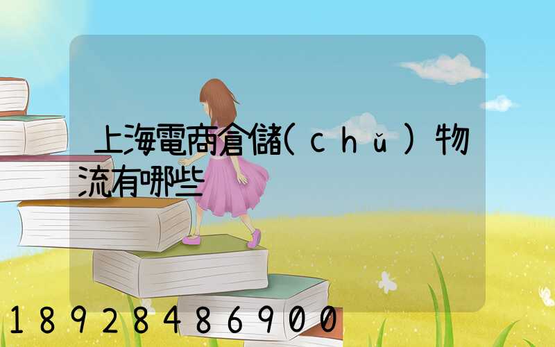 上海電商倉儲(chǔ)物流有哪些