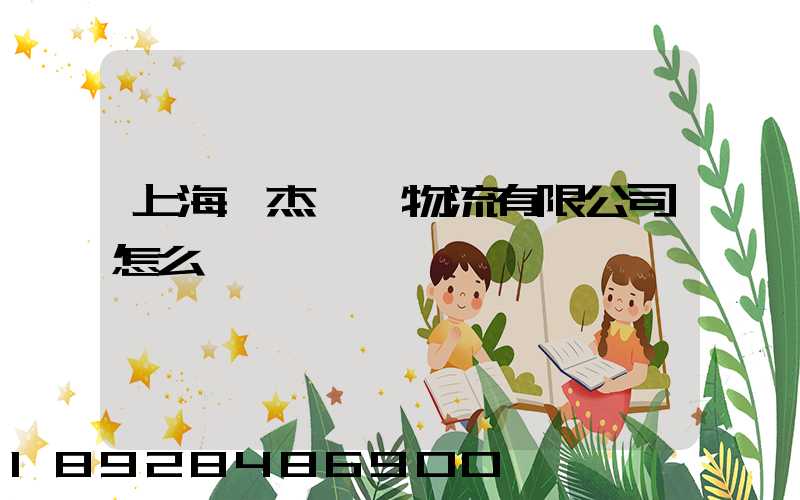 上海鴻杰國際物流有限公司怎么樣