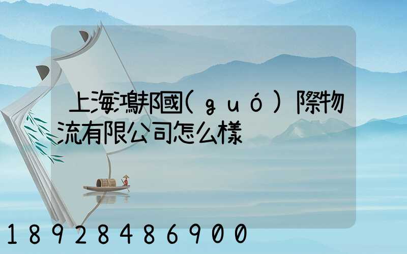上海鴻邦國(guó)際物流有限公司怎么樣
