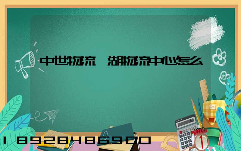 中世物流蕪湖物流中心怎么樣