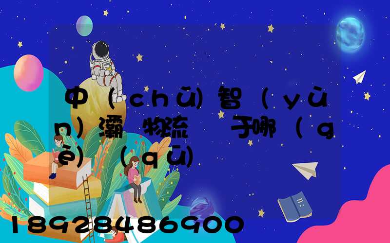 中儲(chǔ)智運(yùn)灞橋物流園屬于哪個(gè)區(qū)