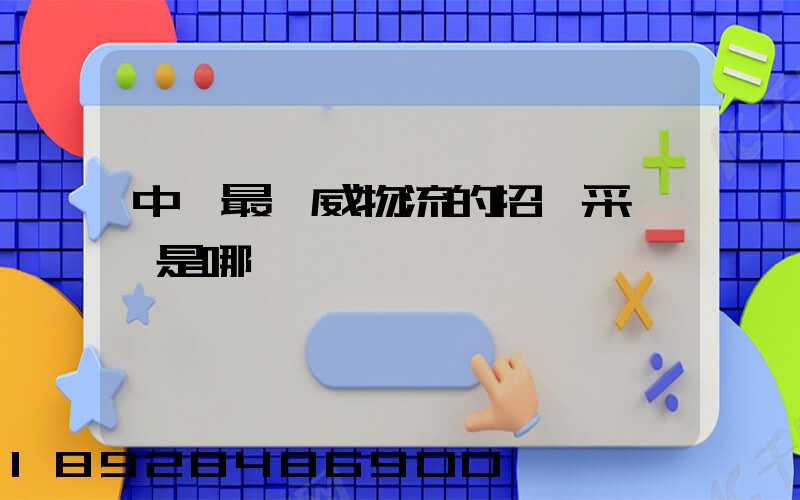 中國最權威物流的招標采購網是哪個