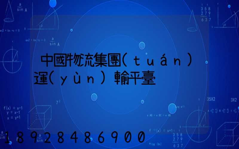 中國物流集團(tuán)運(yùn)輸平臺