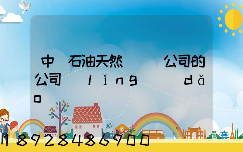 中國石油天然氣運輸公司的公司領(lǐng)導(dǎo)