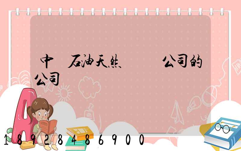 中國石油天然氣運輸公司的公司領導