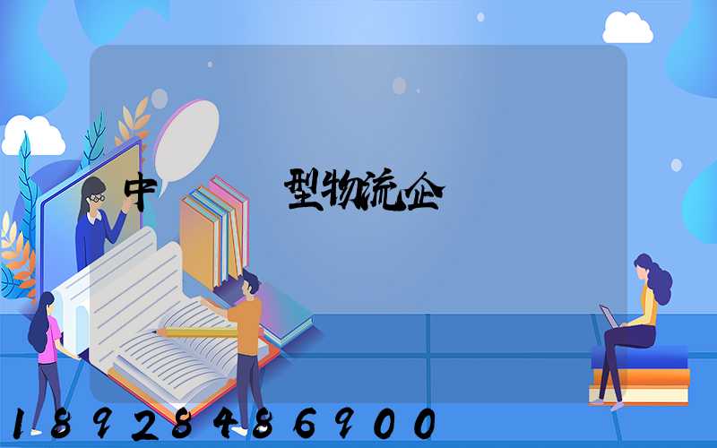 中國運輸型物流企業
