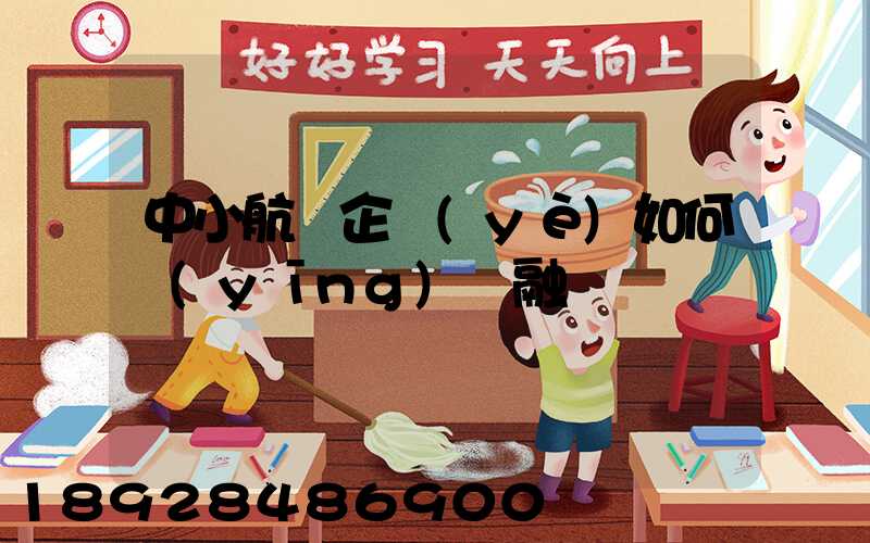 中小航運企業(yè)如何應(yīng)對融資難