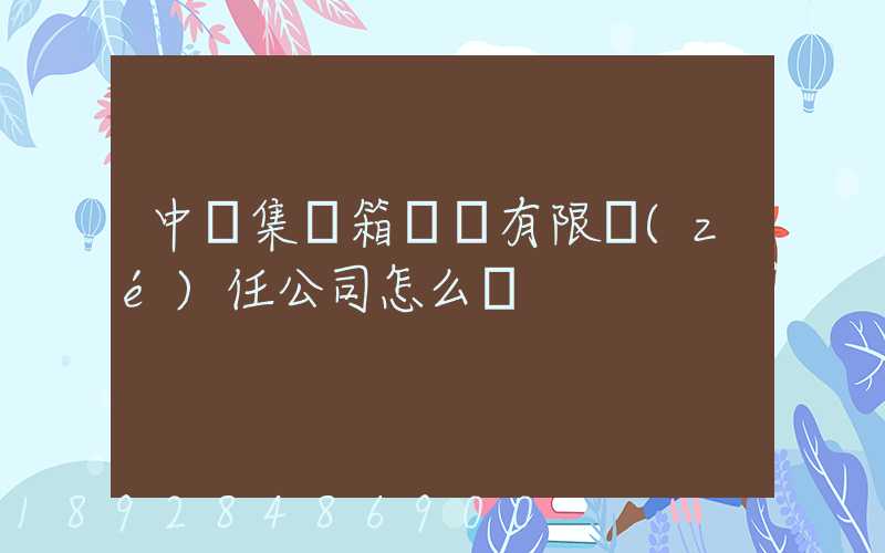中鐵集裝箱運輸有限責(zé)任公司怎么樣