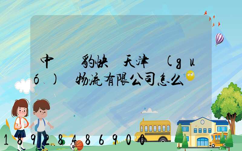 中鐵飛豹快線天津國(guó)際物流有限公司怎么樣