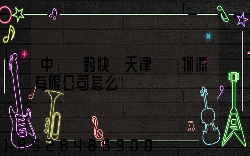 中鐵飛豹快線天津國際物流有限公司怎么樣