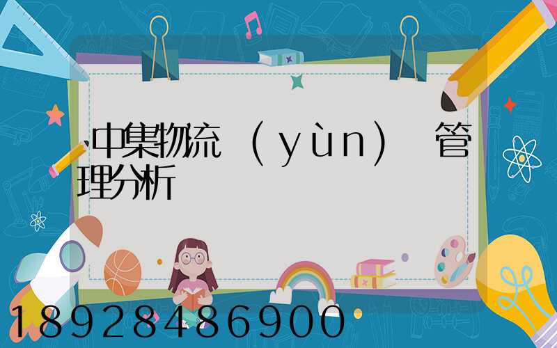 中集物流運(yùn)輸管理分析