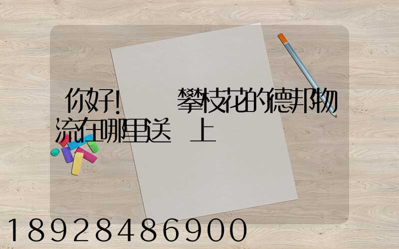 你好!請問攀枝花的德邦物流在哪里送貨上門嗎