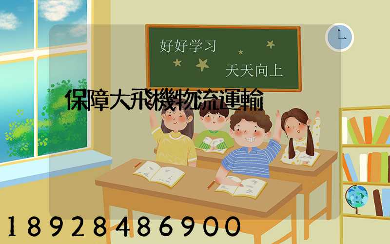 保障大飛機物流運輸