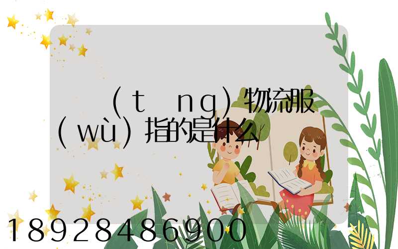 傳統(tǒng)物流服務(wù)指的是什么