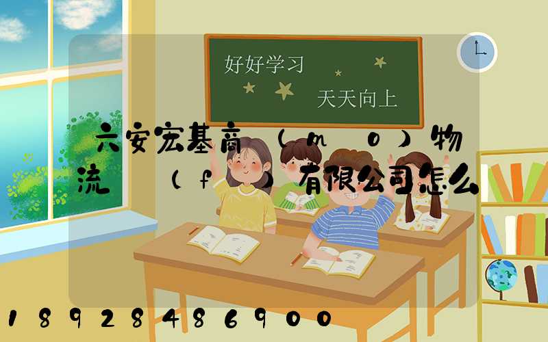 六安宏基商貿(mào)物流開發(fā)有限公司怎么樣