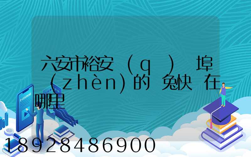 六安市裕安區(qū)蘇埠鎮(zhèn)的極兔快遞在哪里
