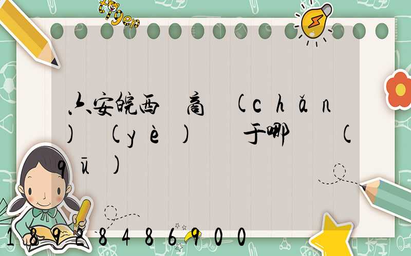 六安皖西電商產(chǎn)業(yè)園屬于哪個區(qū)