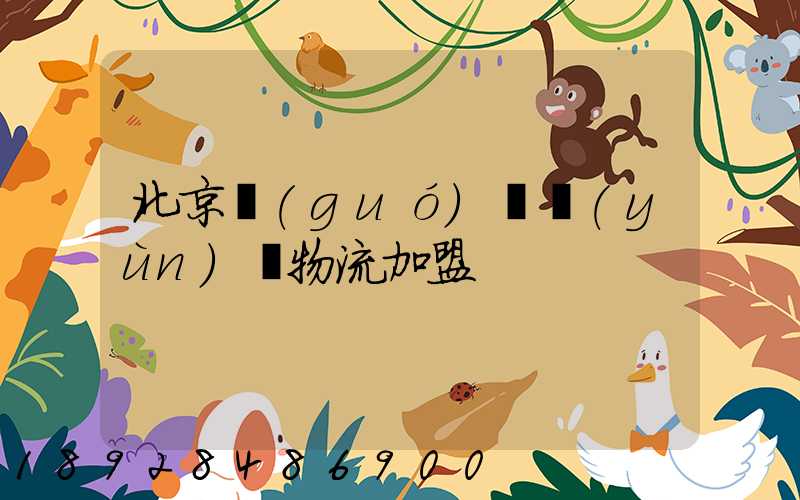 北京國(guó)際運(yùn)輸物流加盟