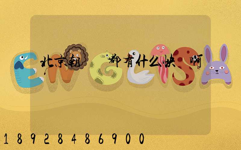 北京朝陽區都有什么快遞啊