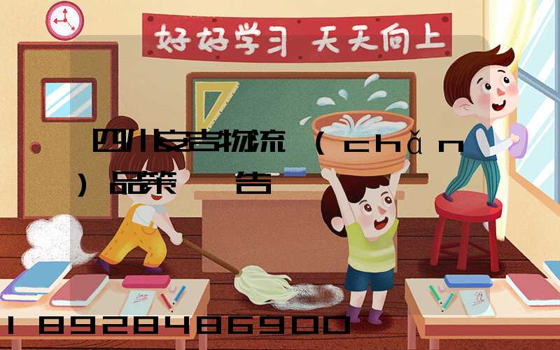 四川安吉物流產(chǎn)品策劃報告