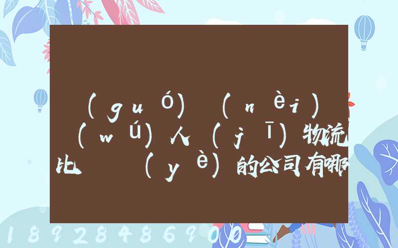 國(guó)內(nèi)無(wú)人機(jī)物流比較專業(yè)的公司有哪些